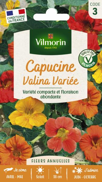 Fleurs - Capucine Valina Variée - face recto